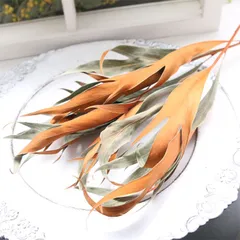 今だけ1000円！！グレビレアゴールド 2本 ドライフラワー 花材