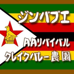 ジンバブエ／AAリバイバル・クレイクバレー農園★スペシャリティコーヒー　100g入り★ジンバブエ珈琲豆★自家焙煎コーヒー豆★ドリップコーヒー★エムリバーサイドコーヒー★mriversidecoffee