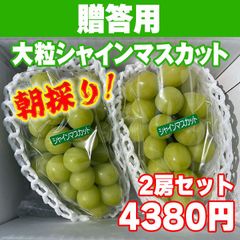 贈答用2房セット（大粒シャインマスカット）通常の宅急便です。
