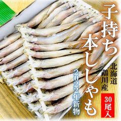 北海道産 子持ち本ししゃも 30尾/箱 2022年新物!! 旨味食感の贅沢な逸品