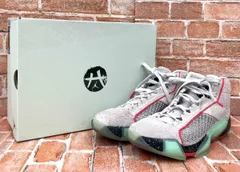 NIKE ナイキ AIR JORDAN XXX VIII RUI PU エアジョーダン 38 フォントダスト ナイキ×八村塁 サイズ 29cm