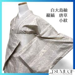 美品 天目織 御召 染織り お召し 小紋 花柄 正絹 袷 白 黒 グレー1416