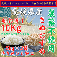令和7年度　無農薬栽培　新米【玄米・白米選べます】愛媛県産　お米　きぬむすめ　10kg　農薬不使用