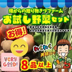 ☆農薬や化学肥料を不使用、または減農薬で育てた野菜たちです！お試し野菜セット８品以上！　※葉物野菜中心に入っております！