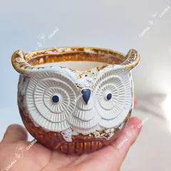 【セール】韓国 小鉢 動物 フクロウ 植木鉢 おしゃれ 陶器鉢 多肉 植物 鉢植え　激安 レア インテリア プレゼント 海外 盆栽 花瓶 おすすめ プランター 人気 デザイン 観葉植物