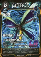 2026年最新】アレクサンドラトリバネアゲハの人気アイテム - メルカリ