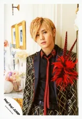 【中古】生写真(ジャニーズ) Hey! Say! JUMP/山田涼介/上半身・衣装黒・赤・金・コサージュ・顔傾げ・花・背景白/16夏 コンサートパンフ＆グッズ撮影/公式生写真