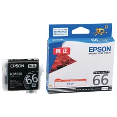 期限切れジャンク　EPSON　純正インク　ICR66　ICBL66　ICMB66