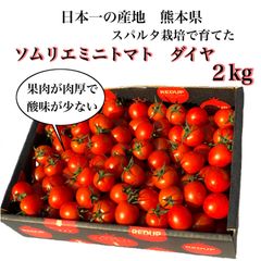 【父の日】ソムリエミニトマト　ダイヤ　箱込み２kg （９０玉〜１５０玉）