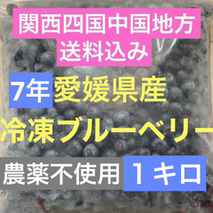 冷凍ブルーベリー　1キロ