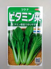 【有効期限2024年10月末日】サカタのタネ　ツケナ　ビタミン菜　粒数目安2300粒　10ml　野菜　種　家庭菜園　畑