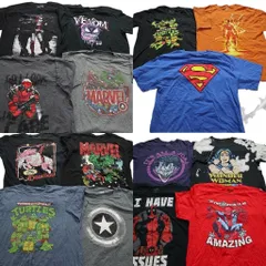 古着卸 まとめ売り マーベル DCコミック 半袖Tシャツ 15枚セット (メンズ L ) ヴェノム デッドプール キャプテンアメリカ 中古 古着 NA2609