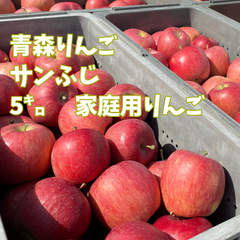 ABOりんご サンふじ 家庭用5キロ