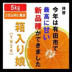 全国発送【本日限定値引き】新種の有田みかん 甘すぎてリピーター続出