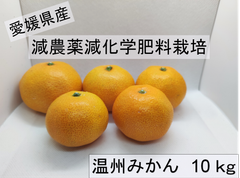 愛媛県産　温州みかん　約10㎏　減農薬、減化学肥料栽培