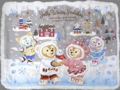 【中古】ブランケット 集合(ダッフィー＆フレンズのウィンターホリデー) ブランケット 「Duffy and Friends-ダッフィー＆フレンズ-」 東京ディズニーシー限定