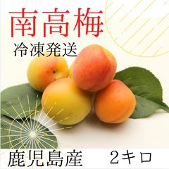 鶯宿梅】完熟梅 2キロ 鹿児島産 サイズ無選別 冷凍便 - メルカリ