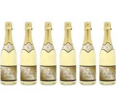 ノンアルコールスパークリングワイン　デュクドゥモンターニュ　750ml×6本
