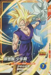 2025年最新】孫悟飯少年期srの人気アイテム - メルカリ