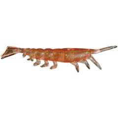 新品 ヤマシタ(YAMASHITA) ワームバケ2 モエビ