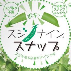 令和7年分終了です　野菜たっぷり新鮮スジナイン！収穫当日発送