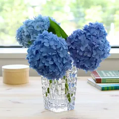 ナハトマン　ボサノバ　花瓶 2個セット　28 20 ガラス Amazon.co.jp: ナハトマン(Nachtmann) ボサノバ フラワーベース