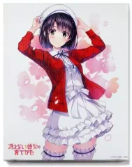2025年最新】冴えない彼女の育てかた 原作版 加藤恵の人気