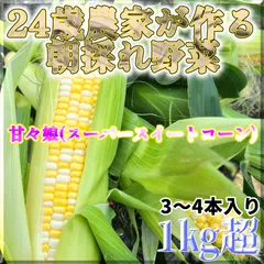 2024年最新】とうもろこし 山梨県産の人気アイテム - メルカリ