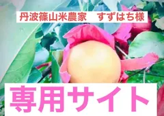 丹波篠山米農家　すずはち様専用　新高梨　産地直送　秀品　大玉6玉✖️2箱