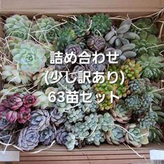 専用！！ - メルカリ