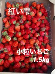【産地直送】加工用小粒いちご1.5kg 紅い雫【クール便】
