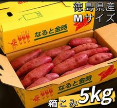 3セット限定❣️100円引きクーポン配布中❣️本日限定❣️激安❣️ 徳島県産 さつまいも なると金時 梱包込み5kg  サイズM 北海道沖縄　秋田県より上の方は300円の追加料金が必要❣️