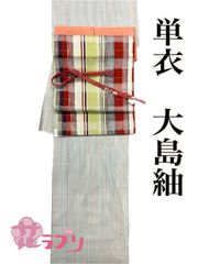 NK974WH　«花ラブリ»　リユース　夏着物４点セット　夏きもの　単衣　紬　大島？　小絣　かすり　縦縞　たてじま　しま　白　ホワイト　色糸　カラフル　和装　和服　和風