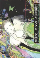【天野喜孝 2冊・帯付】妖精／タロットカード画集 イラスト集 画集　dne 天野喜孝 2冊・帯付】妖精／タロットカード画集 イラスト集 画集