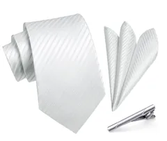 【人気商品】冠婚葬祭 ボックス付き 婚礼用 ギフト ブランド メンズ 礼服用 幅8.5cm 3点セット 紳士用 タイクリップ チーフ ネクタイ 新郎 シルバー 結婚式 12柄 A3-01 [HISDERN]