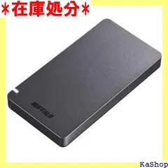 ギャラ新品未使用 SSD-PGM1.9U3-B SSD 1.9TB 小型 軽量 PC周辺機器