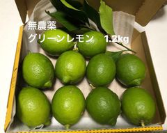グリーンレモン1.2kg 無農薬