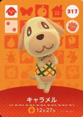 任天堂 - 【新品未開封・匿名配送】キャラメル・パッチ・ブーケ　 amiiboカード 任天堂 - キャラメル・パッチ・ブーケ amiiboカード 未開封の