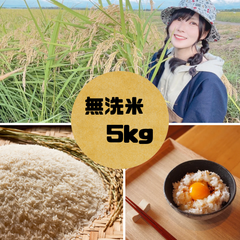 令和6年あきたこまち無洗米5kg