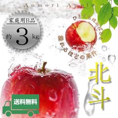 青森県産 ＂ 北斗 ＂ りんご【ご家庭用B品3kg】【送料無料】【産地直送】リンゴ 林檎