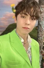 【中古】コレクションカード(男性) SEVENTEEN/VERNON(バーノン)/裏面黄・ピンク/CD「SECTOR 17」(NEW BEGINNING Ver.)封入特典フォトカード