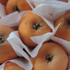 長崎特産  茂木枇杷「なつたより」 甘くて美味しい💕