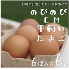 平飼い卵 沖縄の日差しを浴びてのびのびとすごす鶏のＥＭ平飼いたまご 33個＋3個割れ保障(6×6p)