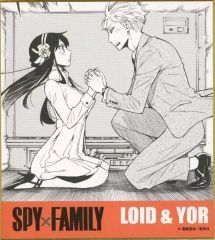 [중고] 종이 제품 로이드 포저 & 요르 브라이어 [SPY × FAMILY 미니 컬러 종이 컬렉션]