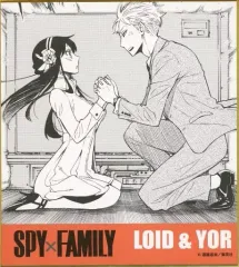 【中古】紙製品 ロイド・フォージャー＆ヨル・ブライア 「SPY×FAMILY ミニ色紙コレクション」