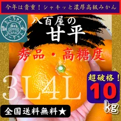 きたーーー‼️数量限定‼️ビックパンツ甘平ちゃん約5kg7980円5 2025年最新】甘平の人気アイテム - メルカリ