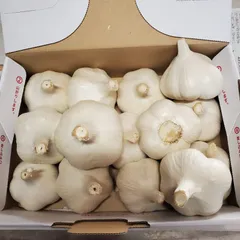 青森県産 ホワイト六片 ニンニク 4kg‼R６年産 にんにく ホワイト六片 苗 販売 苗木部 By 花ひろばオンライン