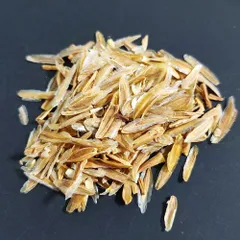 2025年最新】フォークイエリア コルムナリスの人気アイテム