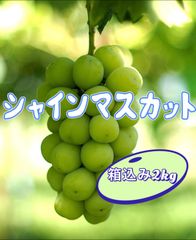クール便発送❣️山梨県産　長野県産　山形県産　シャインマスカット 葡萄　ブドウ　ぶどう　箱込み2kg