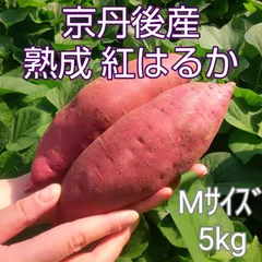 ☆農家直送☆京丹後産 熟成 紅はるか 5kg Mサイズ